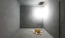 Sgombero Cantine SEREGNO (MB) - RANZANI IMPRESA DI PULIZIA SRL