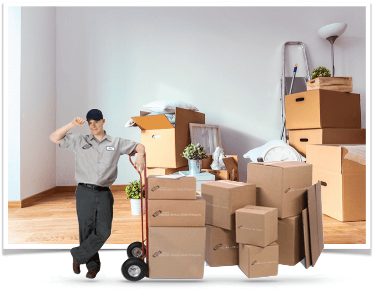 Sgombero Cantine Appartamenti Origio