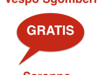 SGOMBERO APPARTAMENTI SARONNO