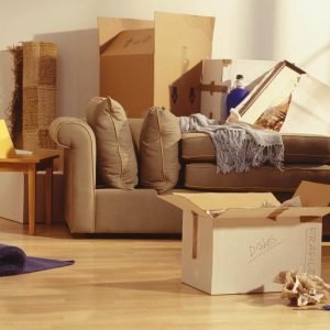 Come Svuotare La Cantina